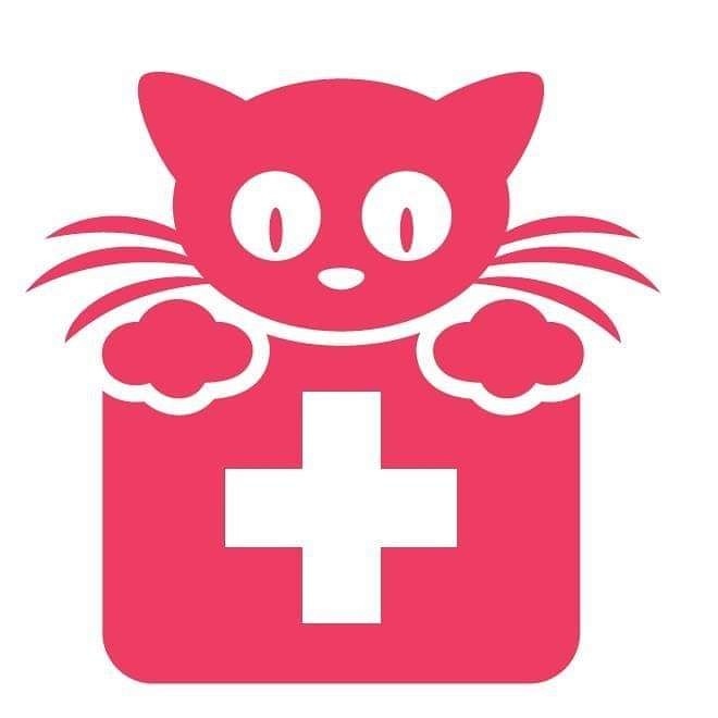 Dra. Kátia Brombatti - Clínica e Oncologia Felina, Oncologia em Porto Alegre