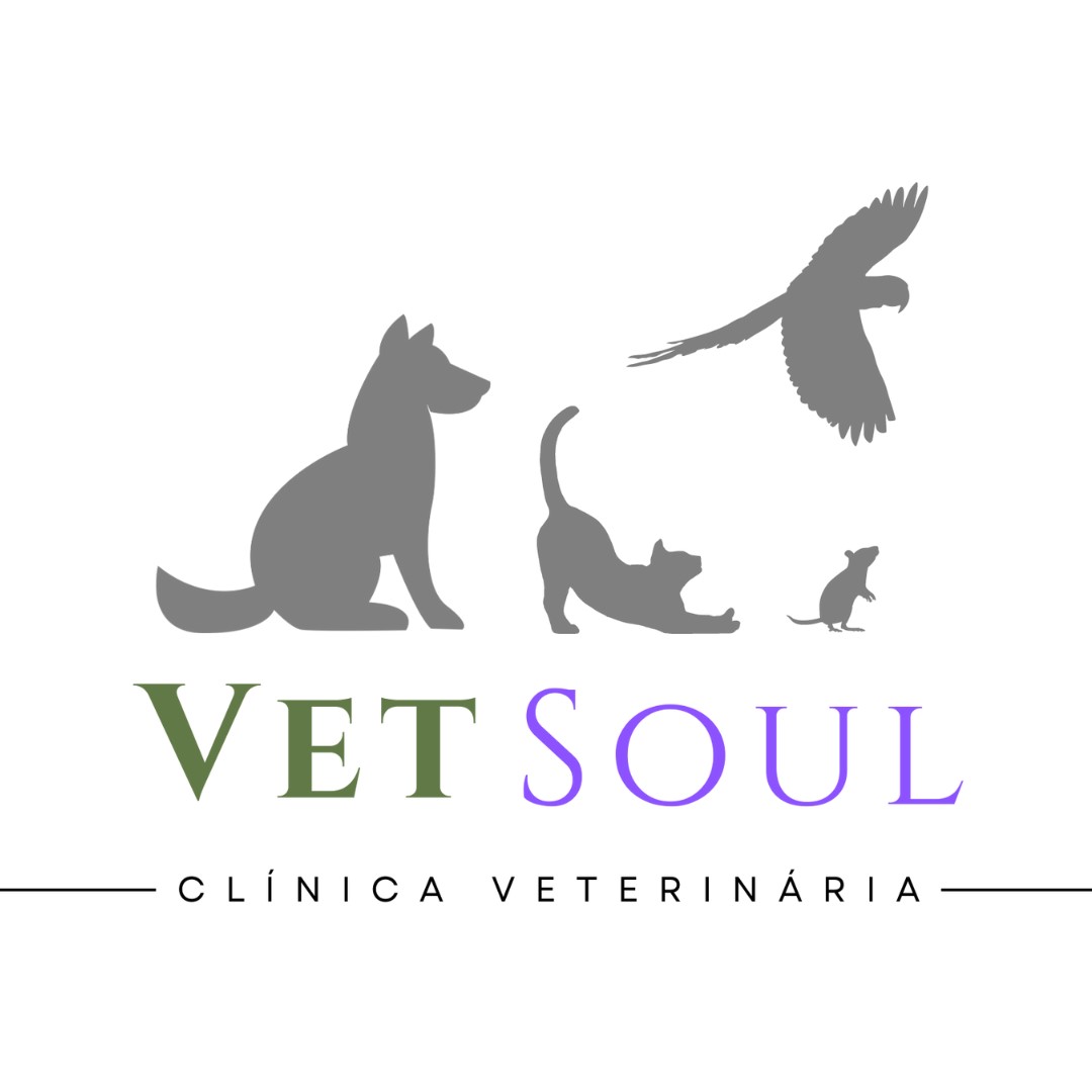 Vet Soul, Consultório em São Paulo