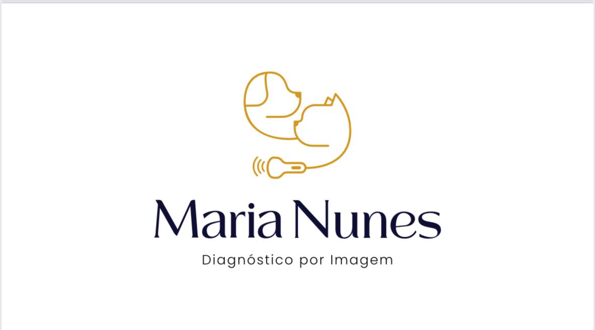 Dra. Maria Nunes (ultrassom volante), Ultrassom em Salvador