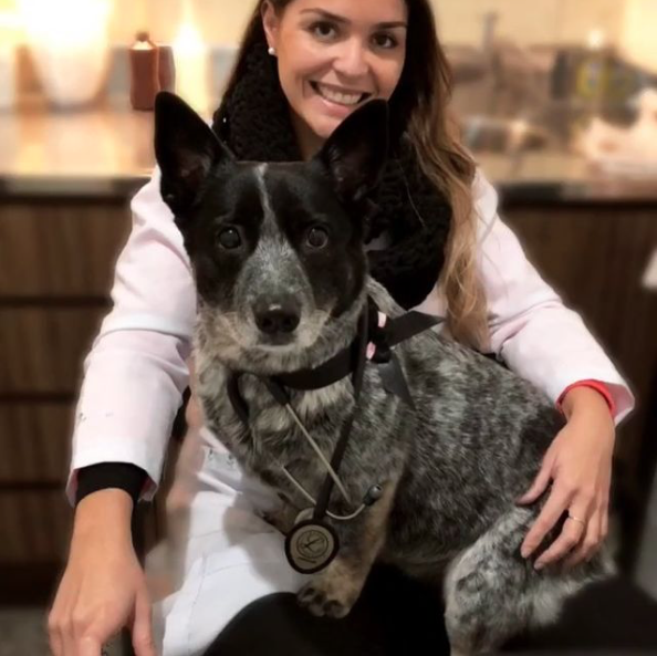 Dra. Gabriella Massia, prestador credenciado Petlove Saúde em Porto Alegre