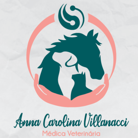 Dra. Anna Carolina Villanacci, Homeopatia em Pouso Alegre