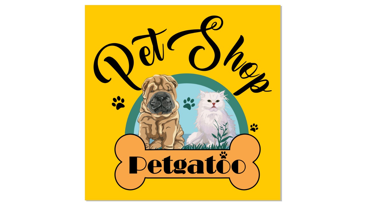 Petgatôo, Consultório em Manaus