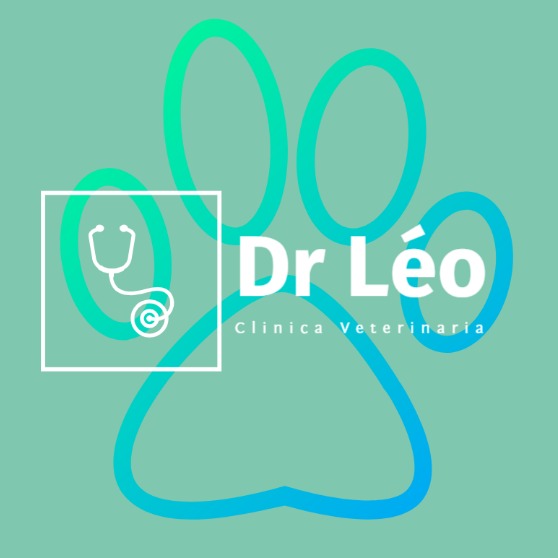 Clínica veterinária Dr Léo, Clínica em São Paulo