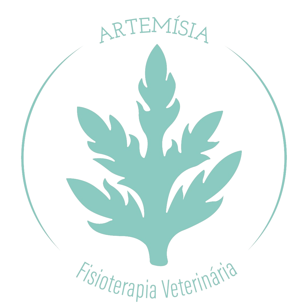 Artemísia Fisioterapia Veterinária, prestador credenciado Petlove Saúde em Porto Alegre