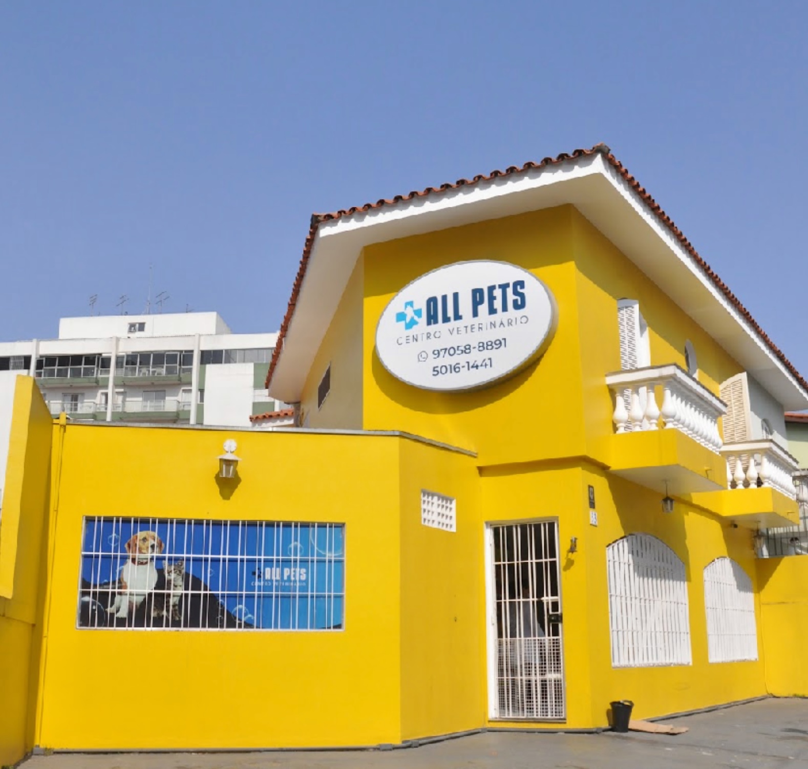 Avatar do(a) All Pet’s Centro Veterinário