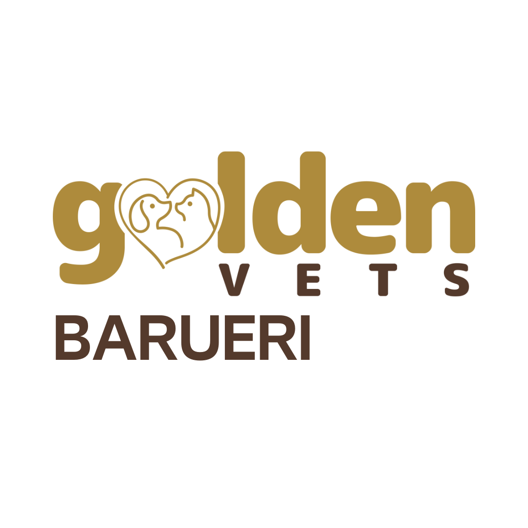 Golden Vets Barueri, Consultório em Barueri