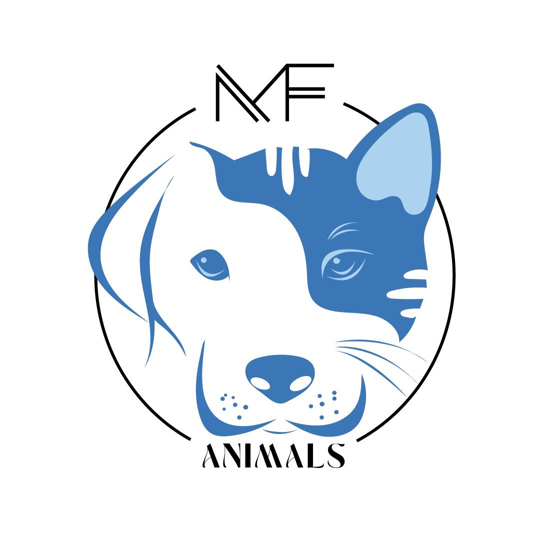 MF Animals, Consultório em São Paulo