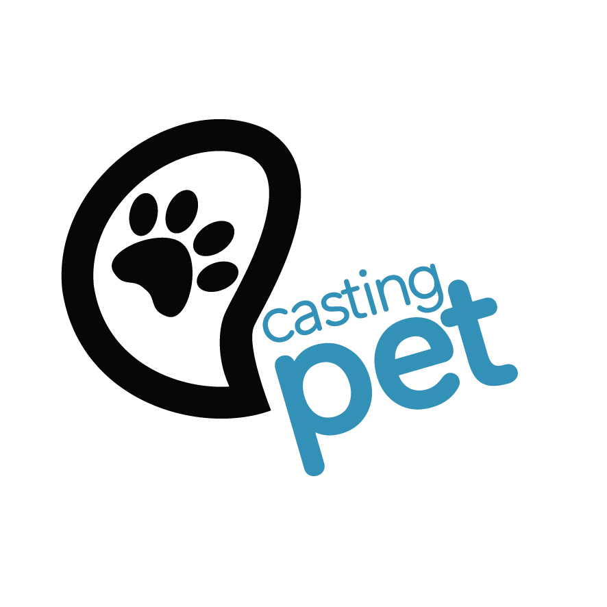 Casting Pet, prestador credenciado Petlove Saúde em São Paulo