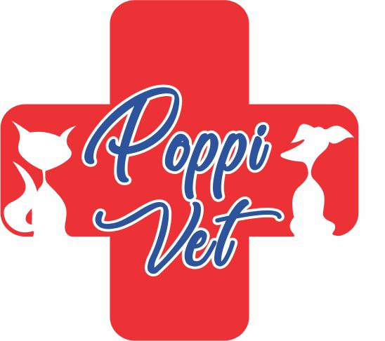 Avatar do(a) Clínica Veterinária PoppiVet