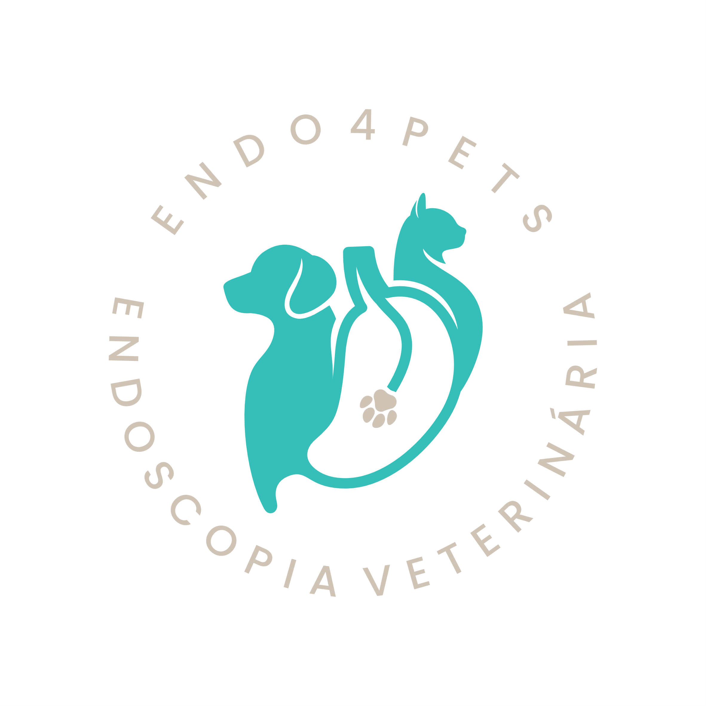 Ariane Decker - Endoscopia Veterinária, Endoscopia em Curitiba