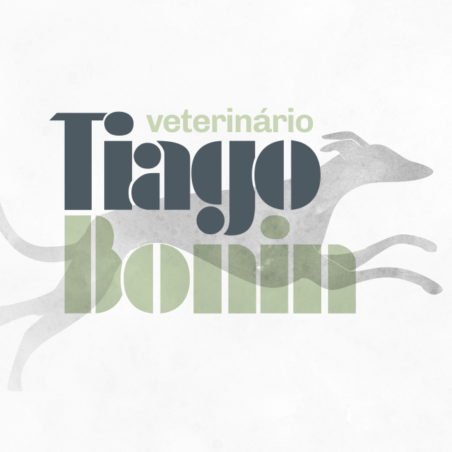 Avatar do(a) Dr. Tiago Stahelin Bonin