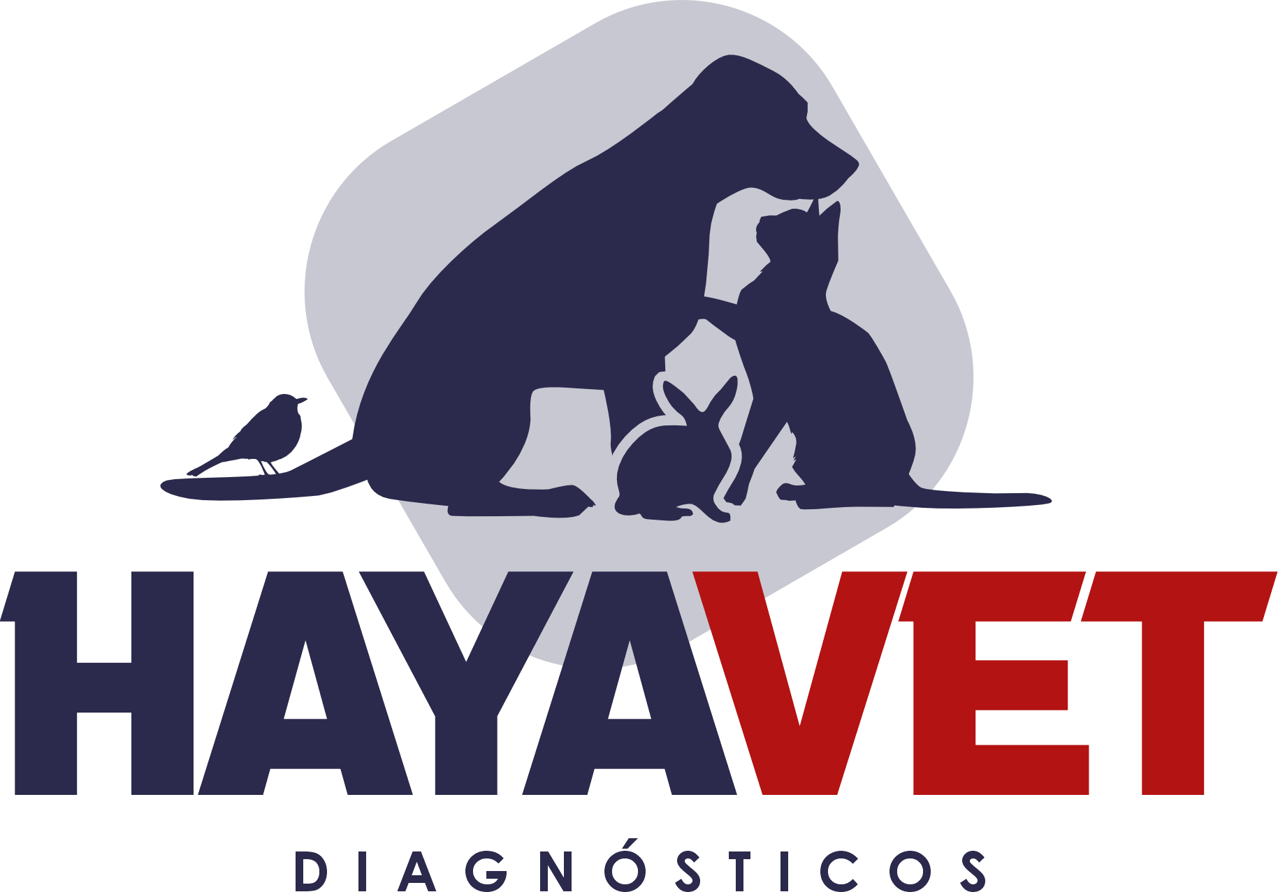 HayaVet Diagnosticos, Laboratório em São Paulo