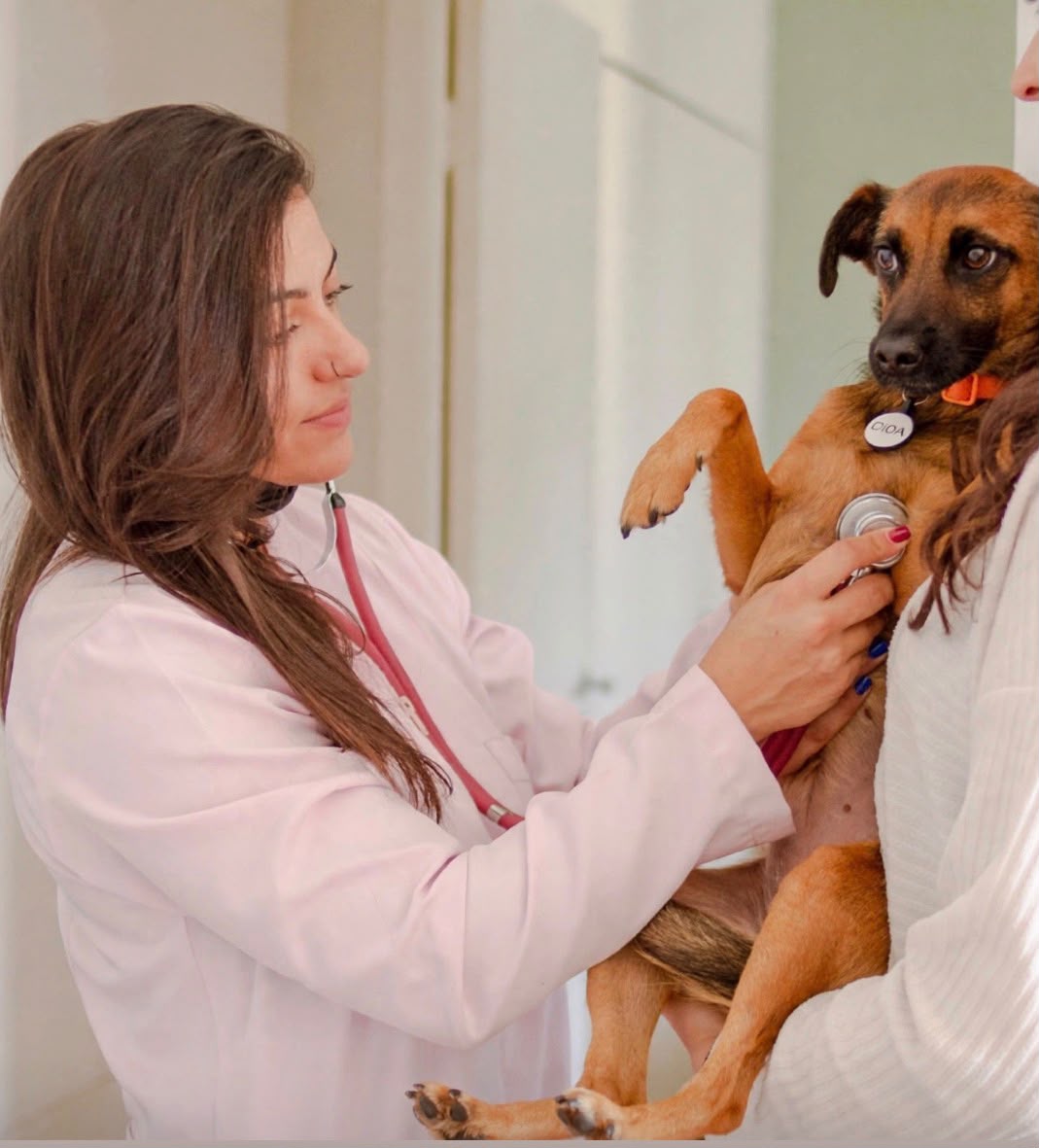 Dra. Renata Mantovani Benito, prestador credenciado Petlove Saúde em Guarulhos