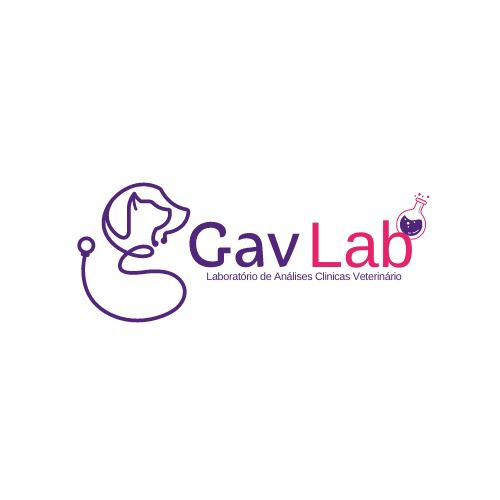 Gavlab, Laboratório em Belém