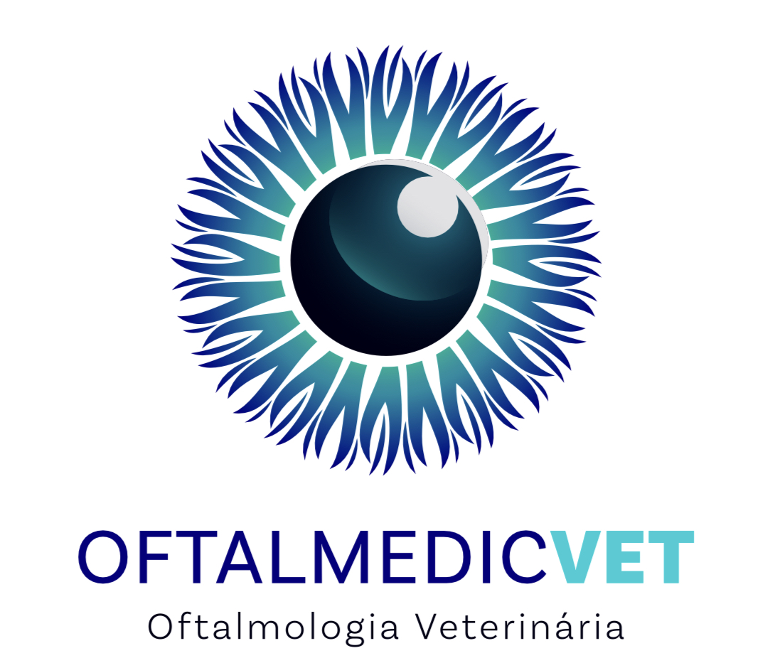 Dra. Bruna Danielle, Oftalmologia em Santo André
