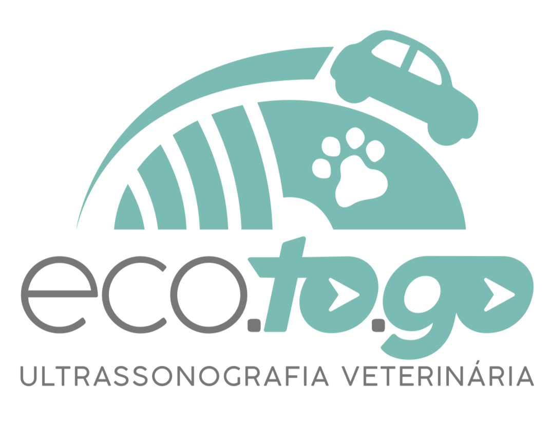 ECO.TO.GO Ultrassonografia, Ultrassom em Curitiba