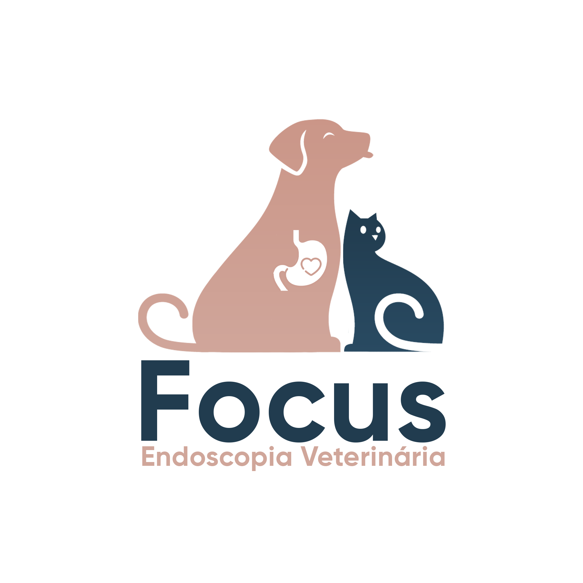 Dra. Natalia Janis Correia Fachini, Endoscopia em Joinville
