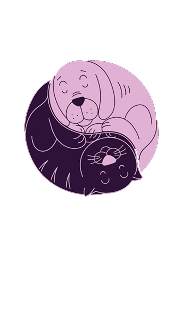 Holisticvet, Felinos em Mogi das Cruzes