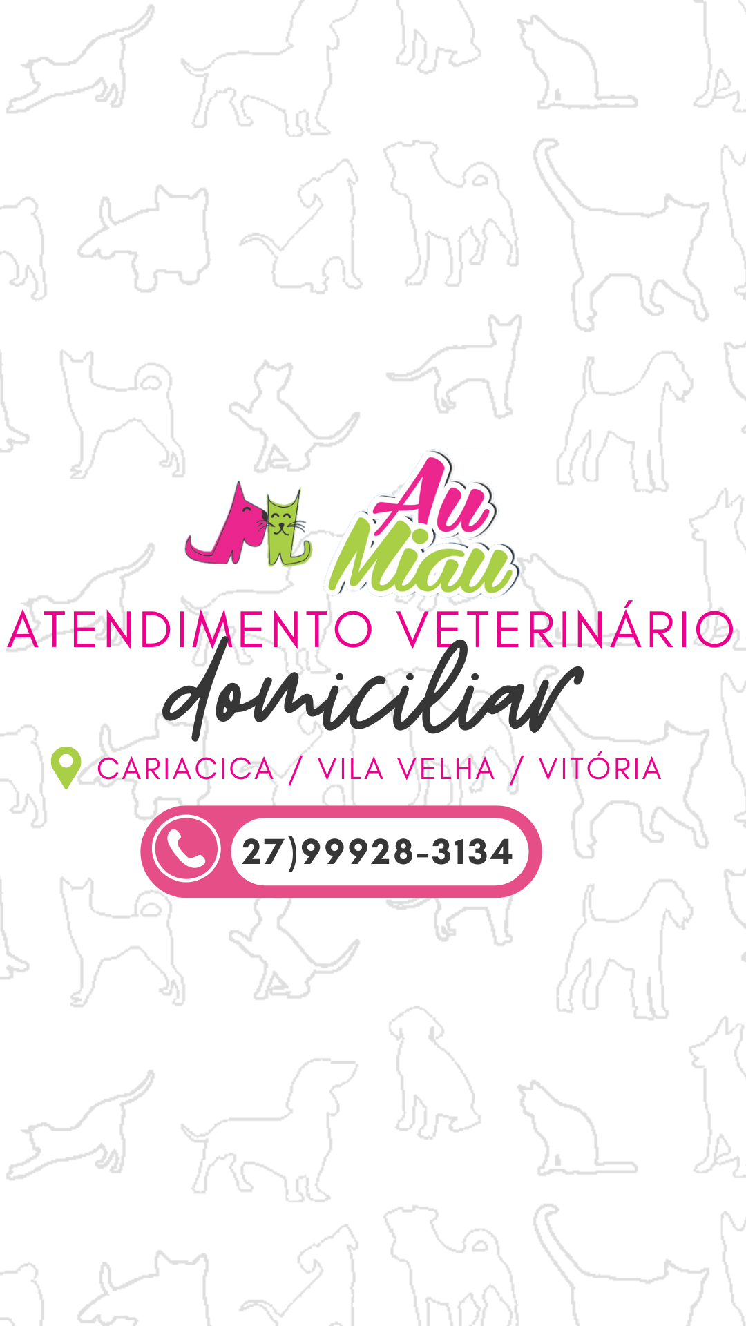 Dra Hegiany Bridi (AuMiau), Veterinário a Domicílio em Cariacica
