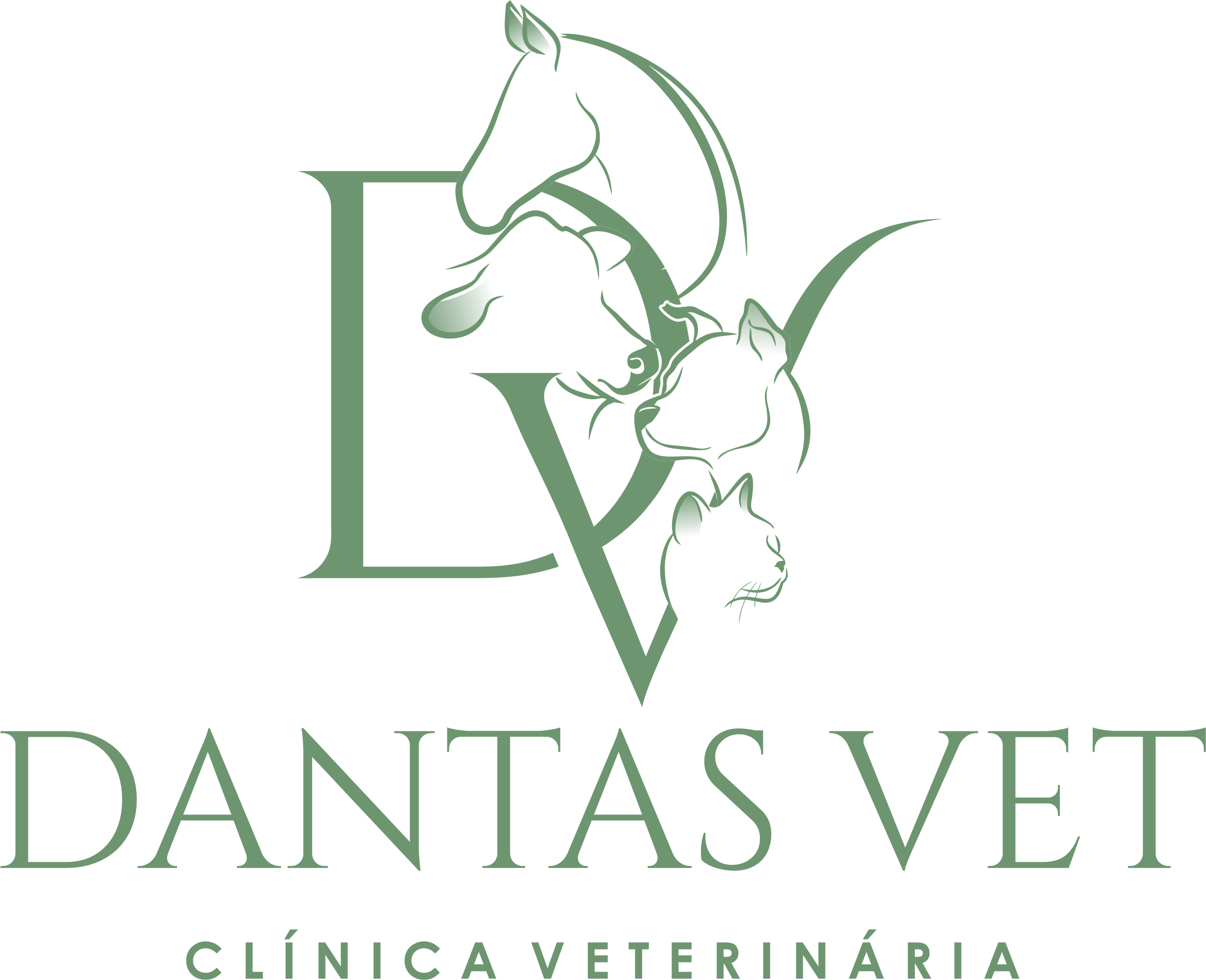 Dantas Vet Clínica Veterinária, prestador credenciado Petlove Saúde em Leme